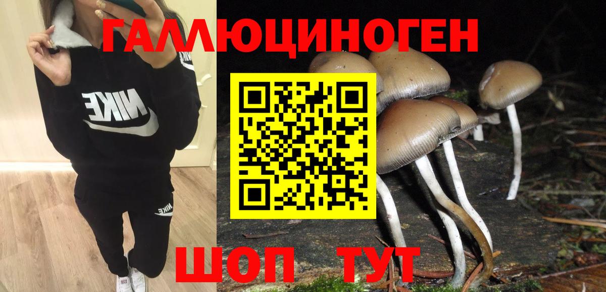 Клин  Галлюциногенные грибы Cubensis  Вход с VPN 